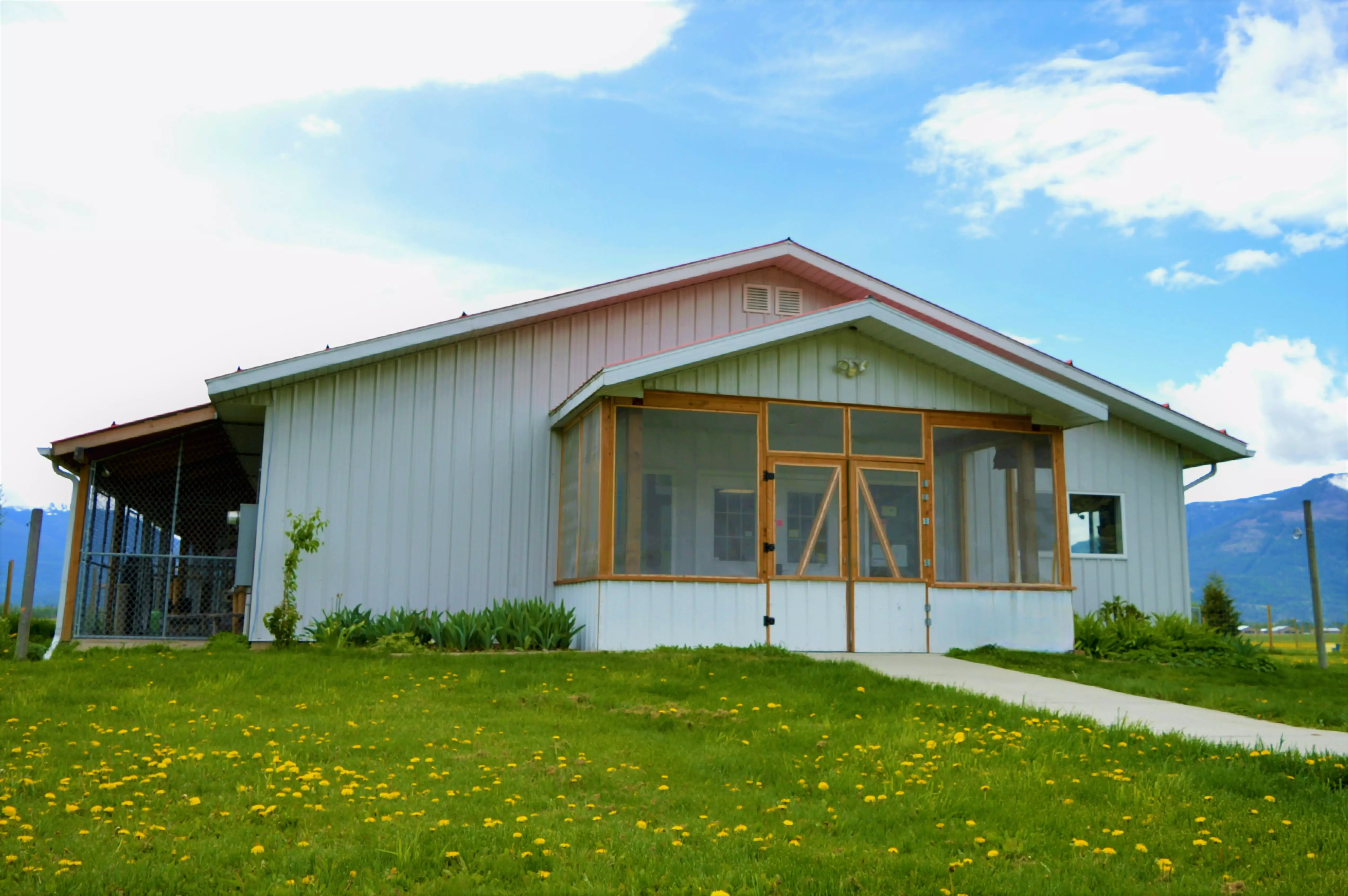 PAWS animal shelter facility with welcoming environment