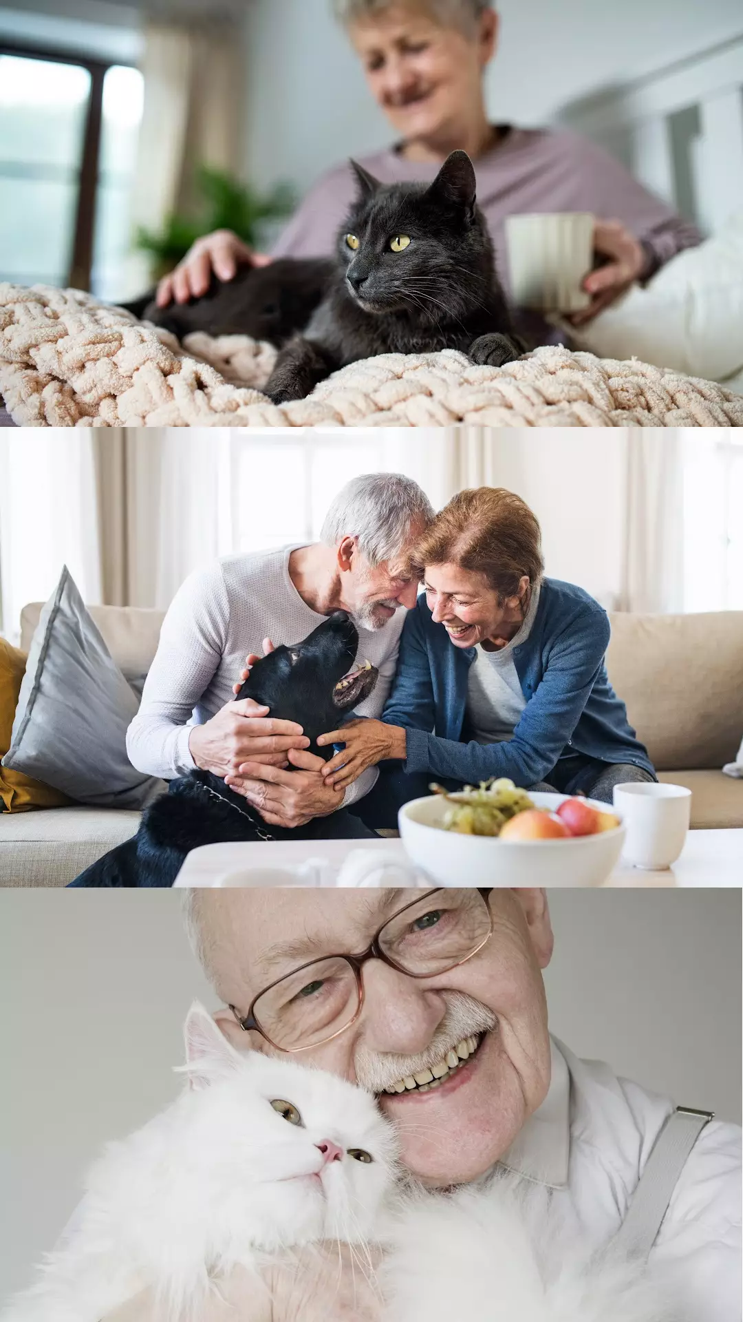 Senior person with senior pet in loving companionship